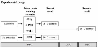 Post-Learning Sleep Transiently Boosts Context Specific Operant Extinction Memory